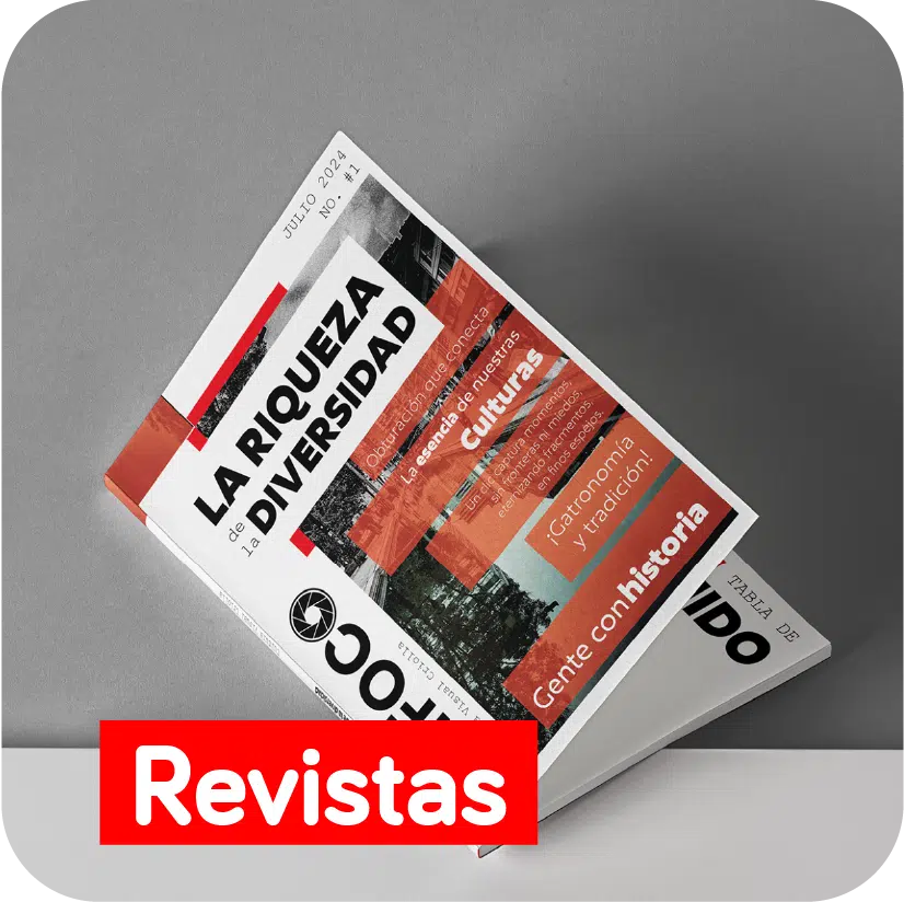 Revistas
