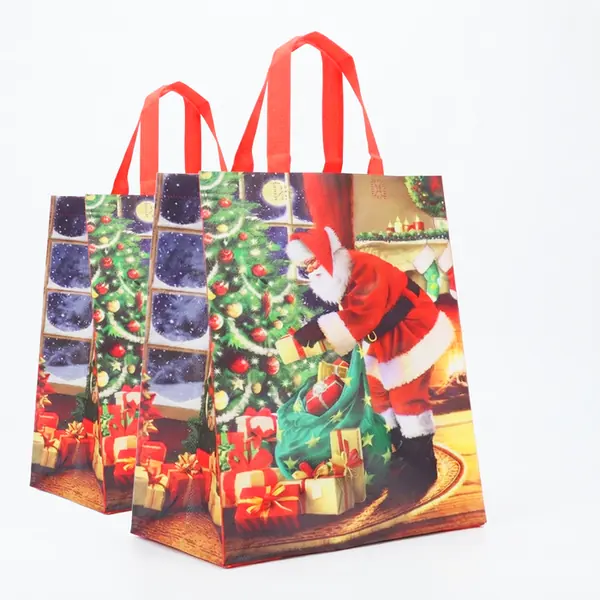 Bolsa Huila personalizado con logo